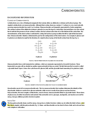 Aldehydes+and+Ketones+Report+2022 - Name ...