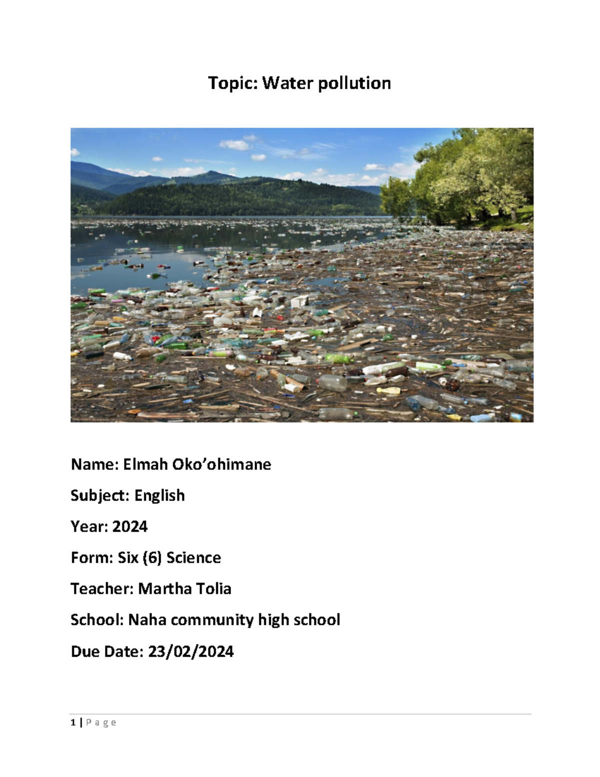 an essay on the topic water pollution