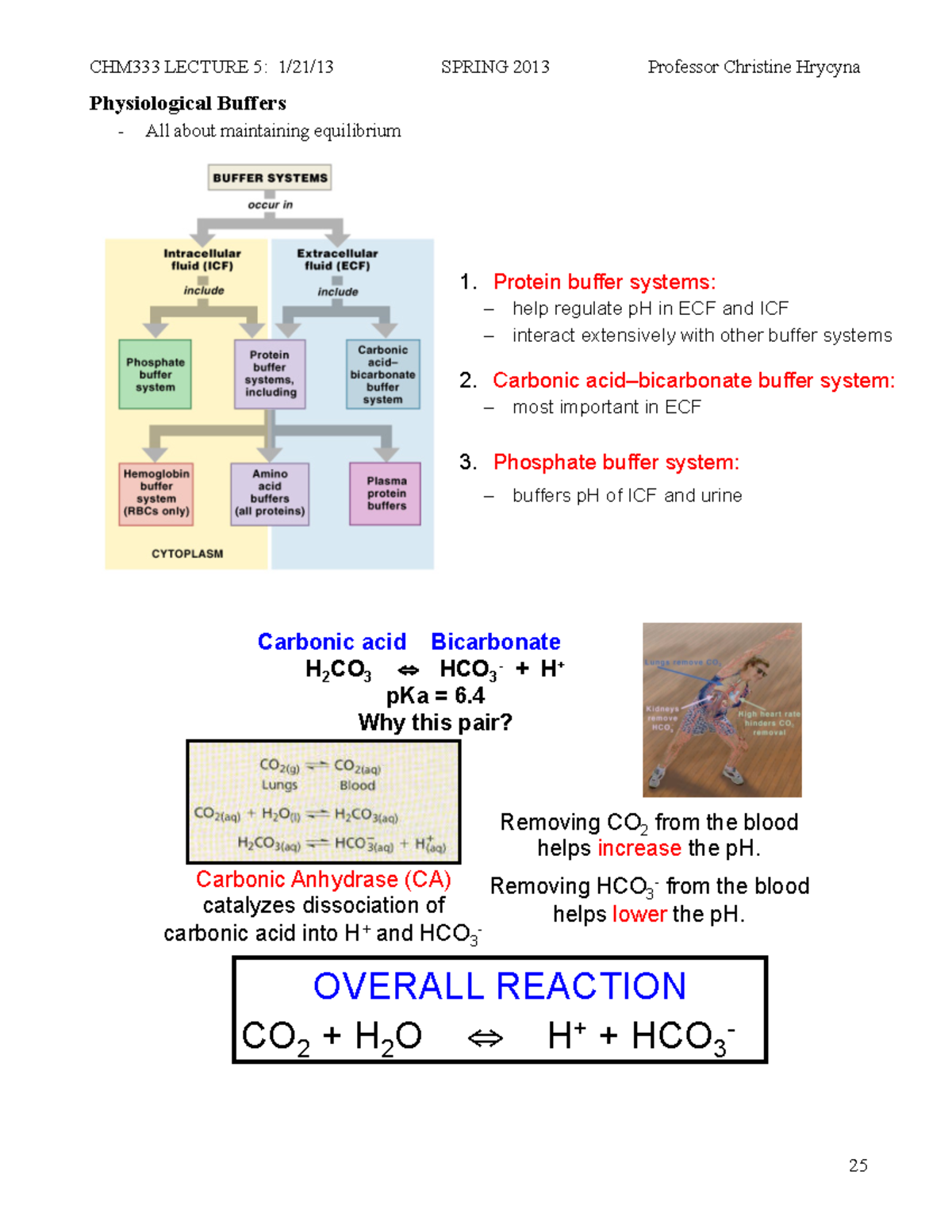 Lecture 5 Physiological Buffers Physiological Buffers All