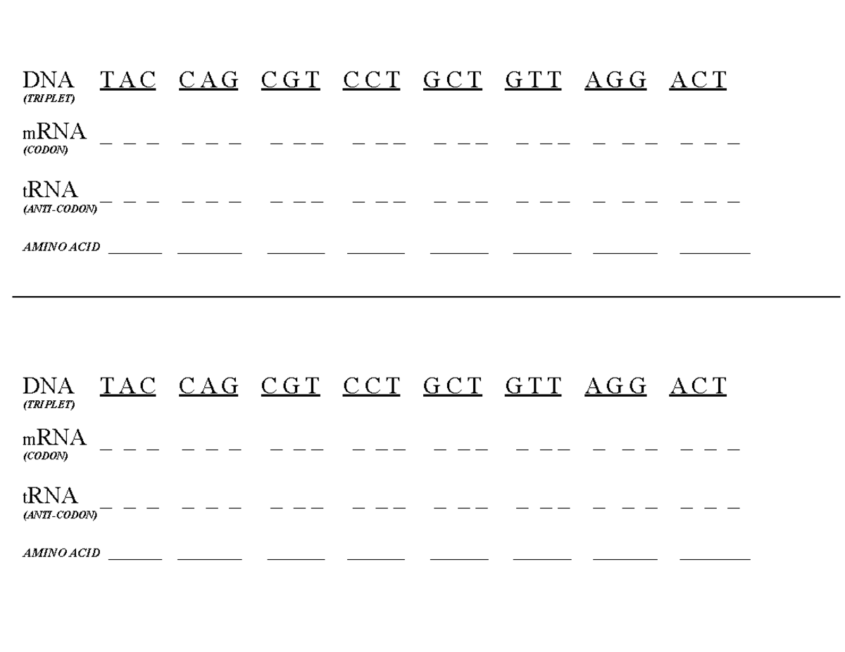 UNIT 3 Genetic CODE Practice - DNA T A C C A G C G T C C T G C T G T T ...