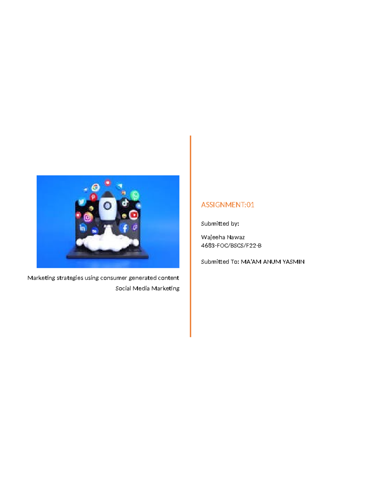 Cover page - database DBMS - Marketing strategies using consumer ...