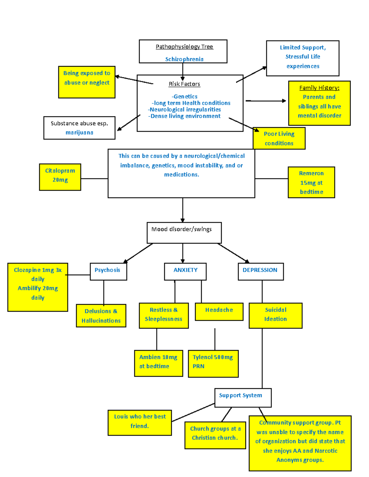 Schizophrenia patho tree - Pathophysiology Tree Schizophrenia Risk ...