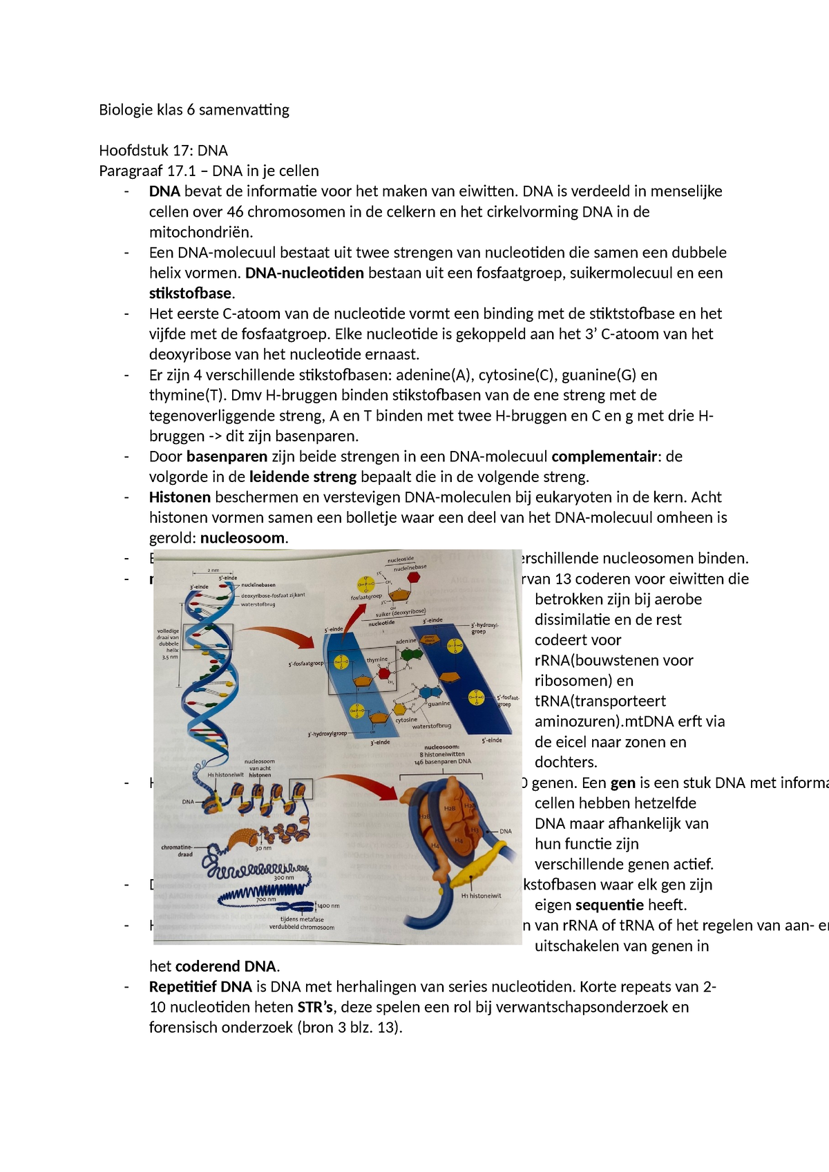 Biologie Samenvatting Klas 6 Biologie Klas 6 Samenvatting Hoofdstuk 17 Dna Paragraaf 17 Dna 2553