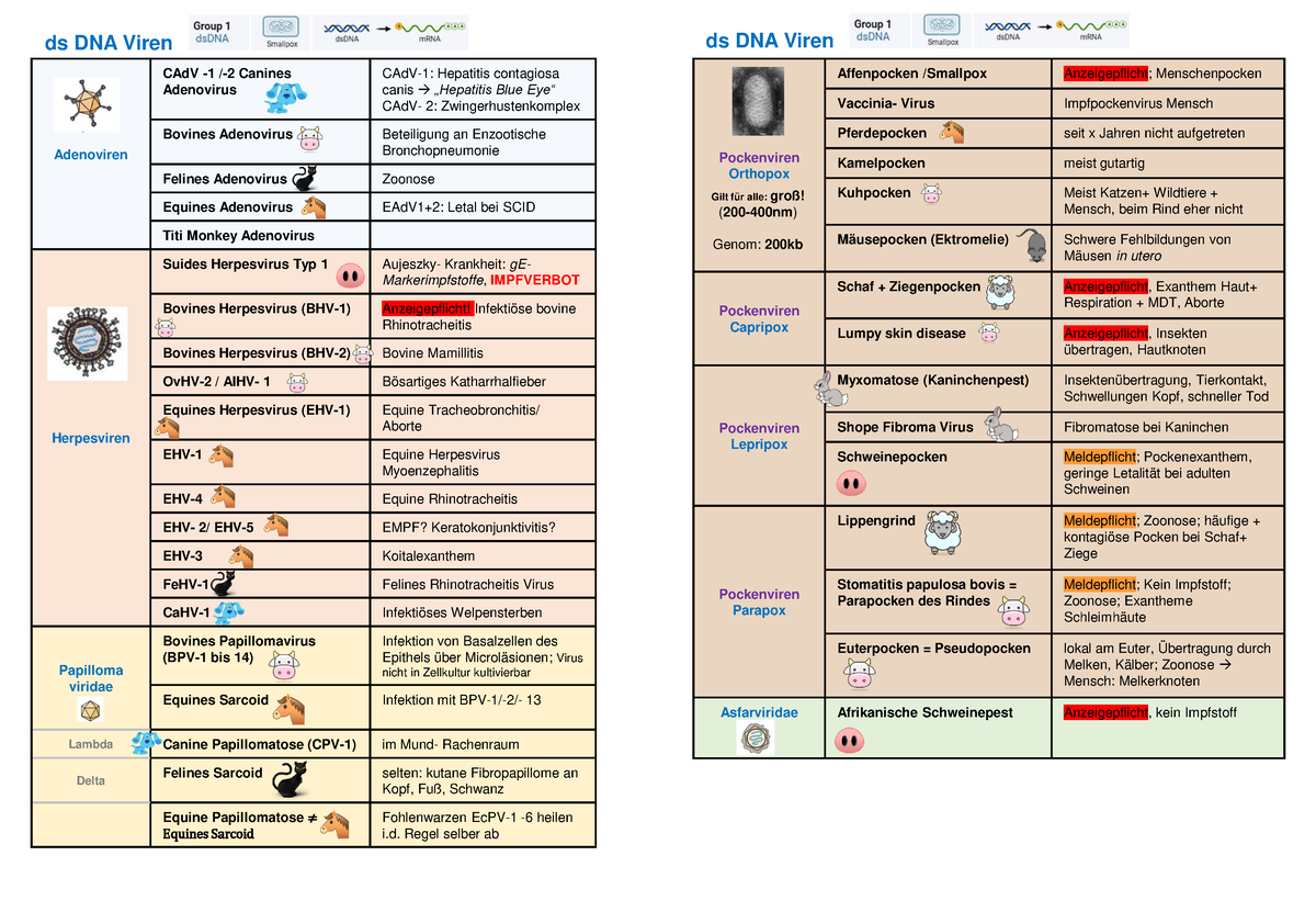 Übersicht der relevanten Viren - ds DNA Viren Adenoviren CAdV -1 /-2