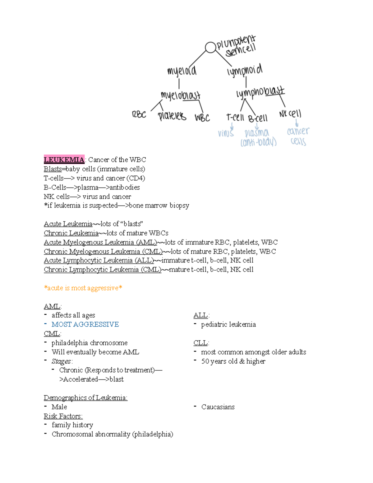 Week 3~~cancer - prof ventura - LEUKEMIA: Cancer of the WBC Blasts=baby ...