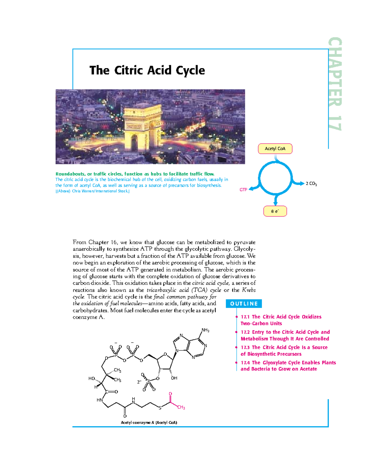 Chapter 17The Citric Acid Cycle - CHAPTER 17 The Citric Acid Cycle From ...