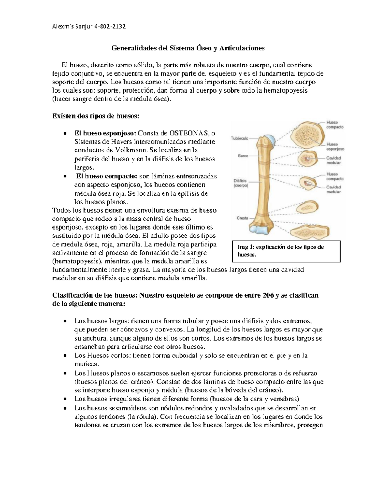 Generalidades Del Sistema Seo Y Articulaciones Los Huesos Como Tal