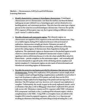 Module 13 Study Guide - Module 13 Study Guide Primer (DNA ...