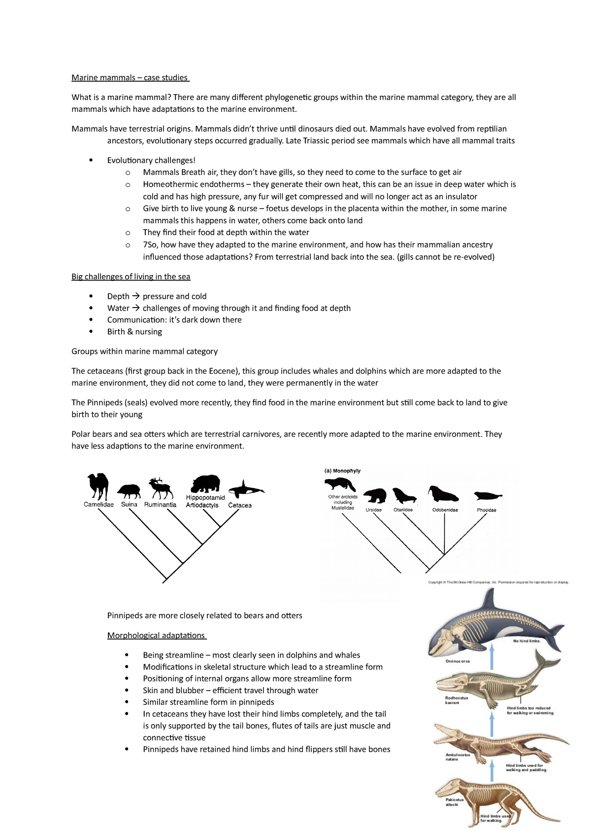 fish or mammals case study answer key