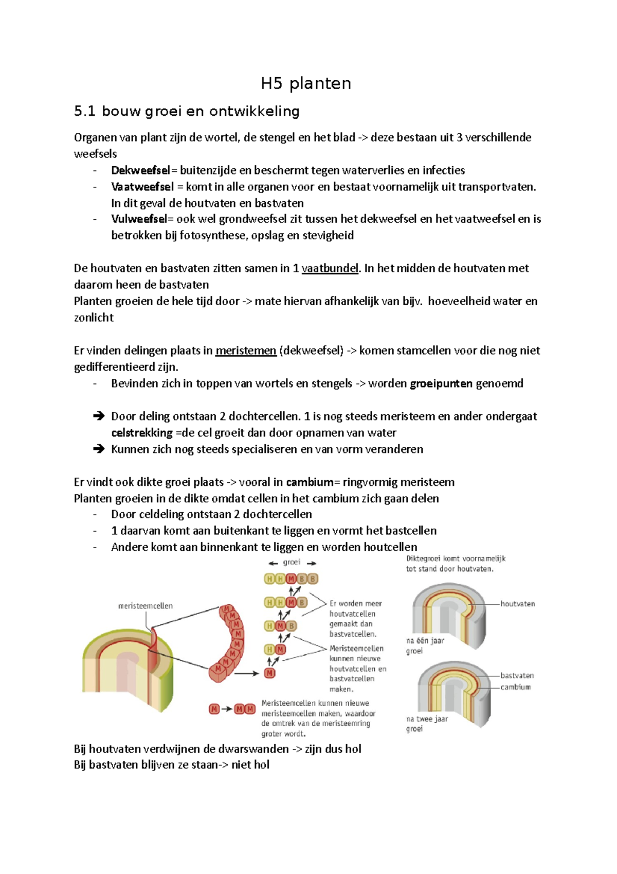 Samenvatting 5vwo H5 - Biologie Voor Jou H5 6 Vwo - H5 Planten 5 Bouw ...