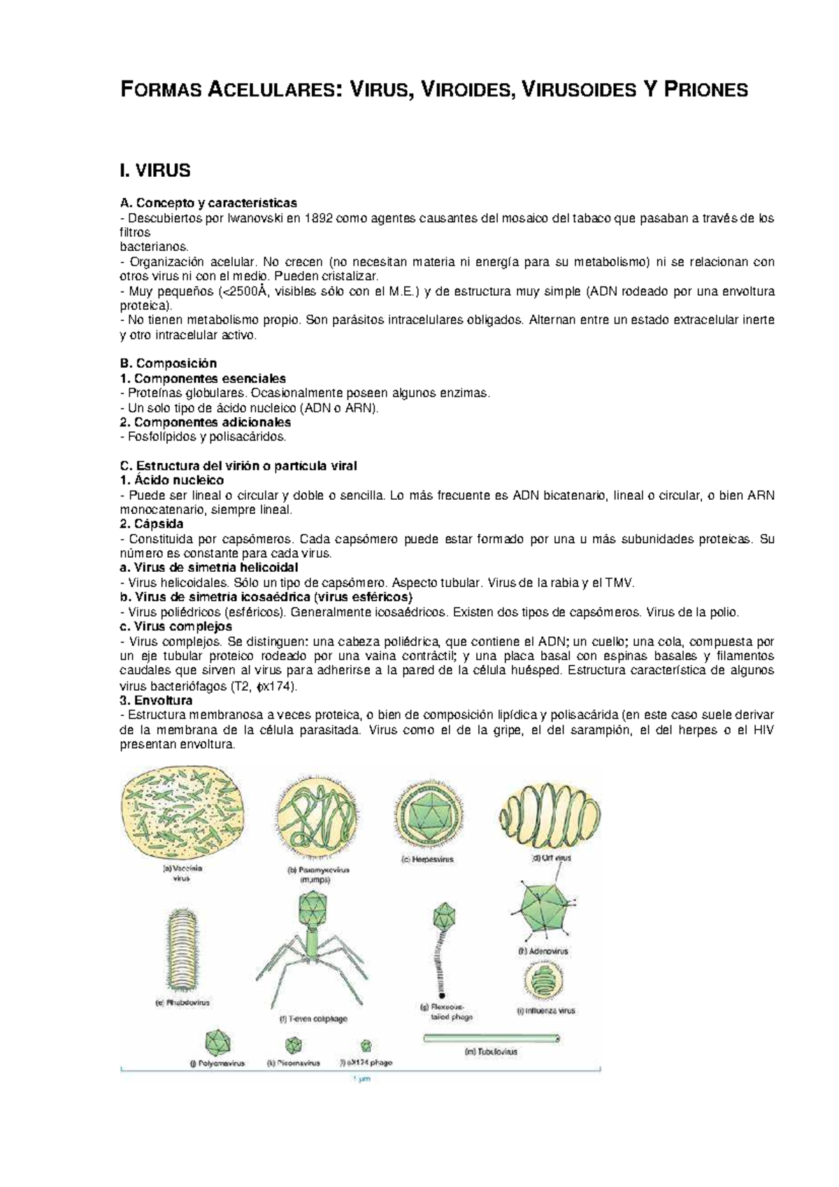 Formas Acelulares - Virus, viroides, virusoides y priones. - FORMAS ...