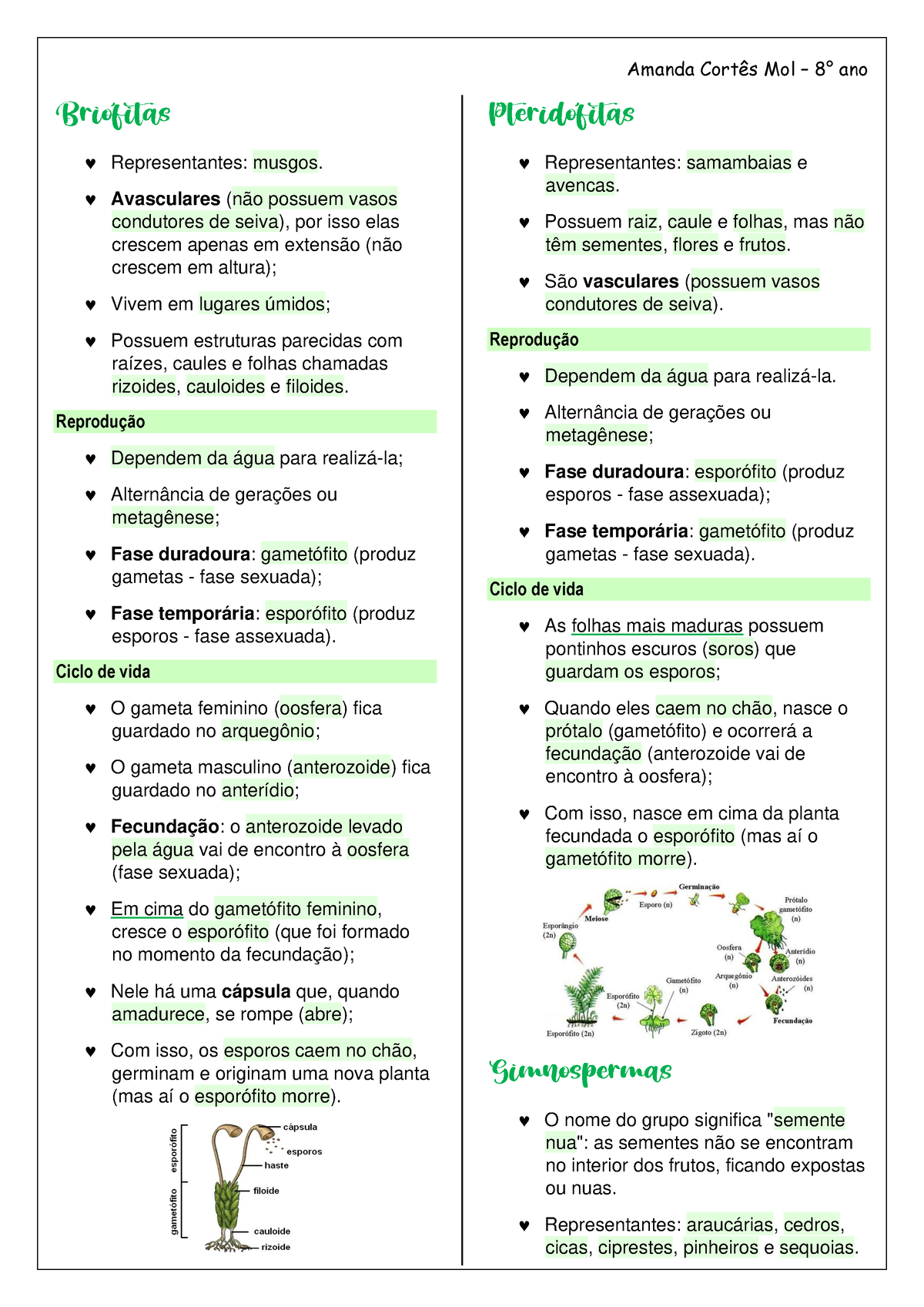 Classificação Dos Vegetais Representantes Musgos Avasculares Não Possuem Vasos Condutores 3076