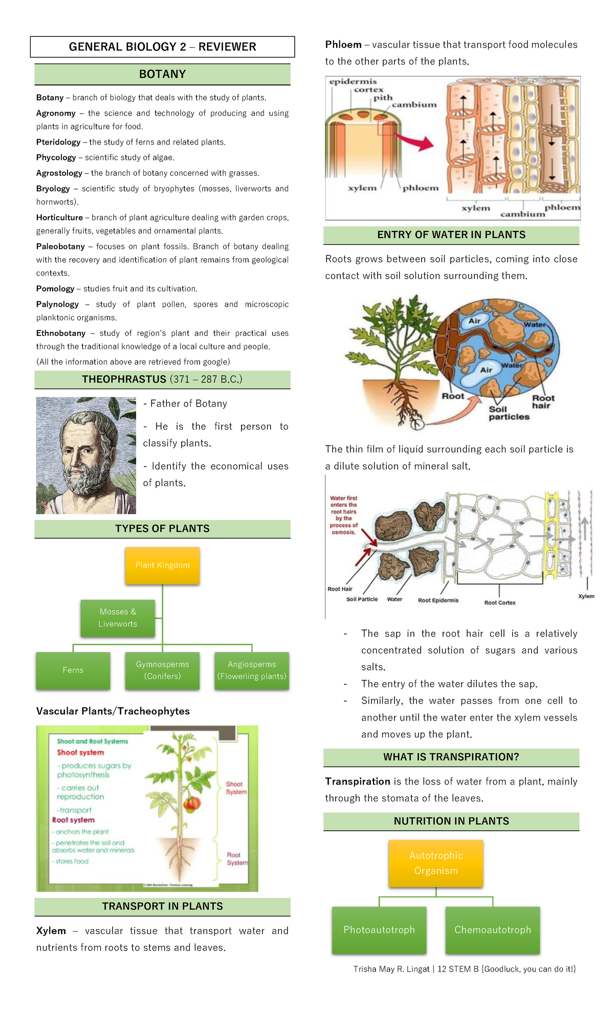 general-biology-2-reviewer-studocu