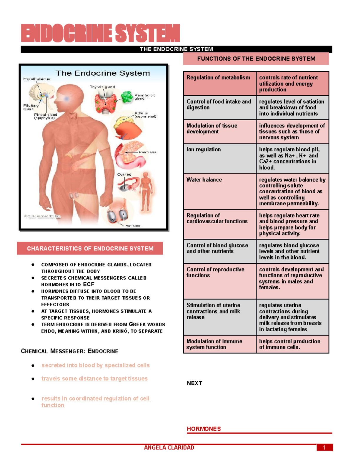 Trans Template Gdocs ENDOCRINE SYSTEM THE ENDOCRINE SYSTEM