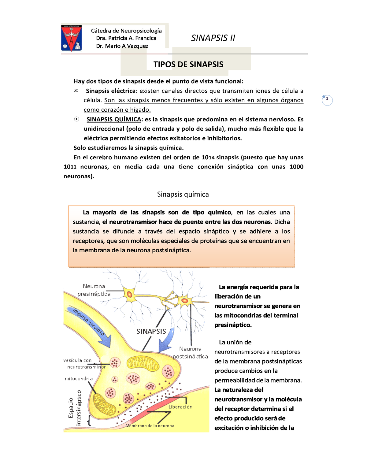 Sinapsis 2 - TIPOS DE SINAPSIS Hay Dos Tipos De Sinapsis Desde El Punto ...