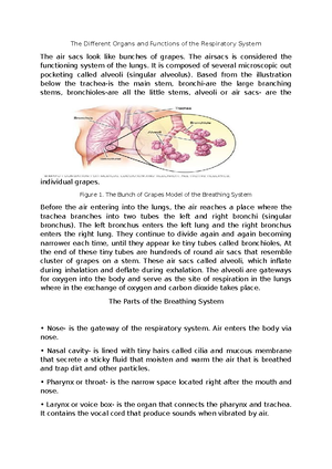 Filipino 9 Notes - to Lesson 3: Codominance Another Non-Mendelian ...