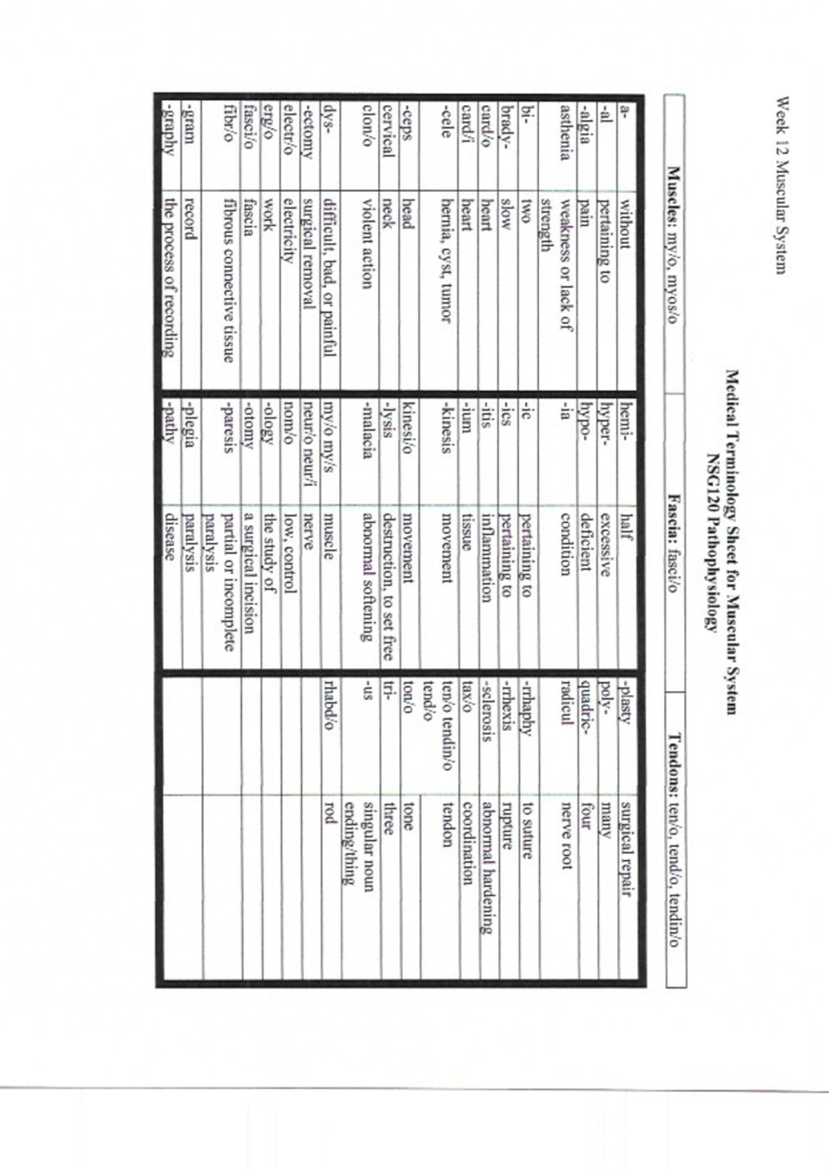 medical-terminology-for-muscular-system-nsg-120-studocu