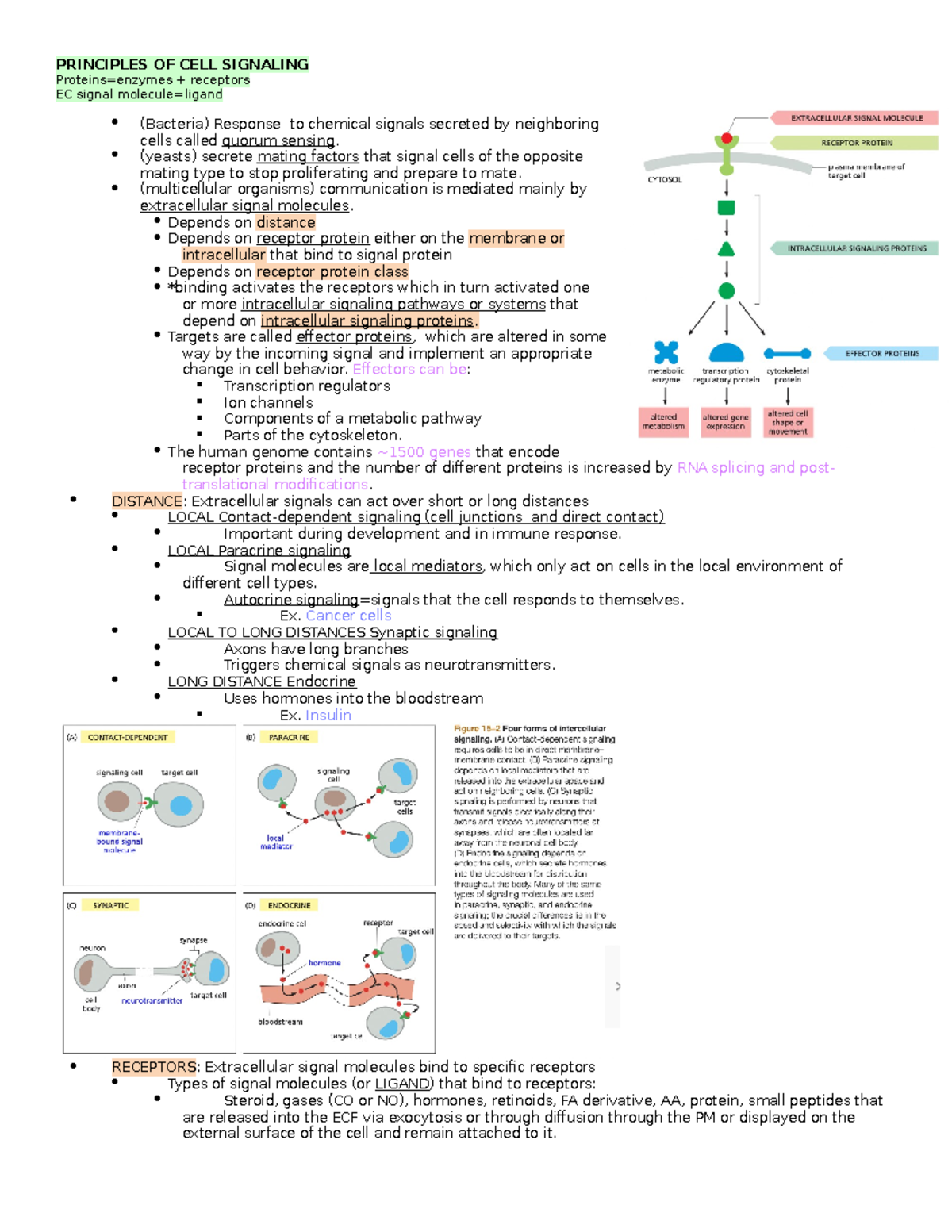 Principles OF CELL Signaling - PRINCIPLES OF CELL SIGNALING Proteins ...