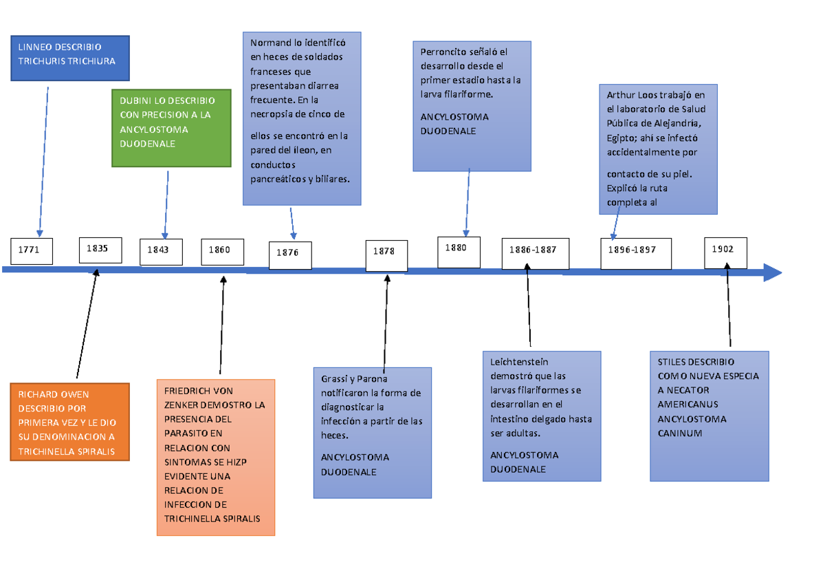 Historia De La Parasitologia Linea Del Tiempo www.bloismedical.fr