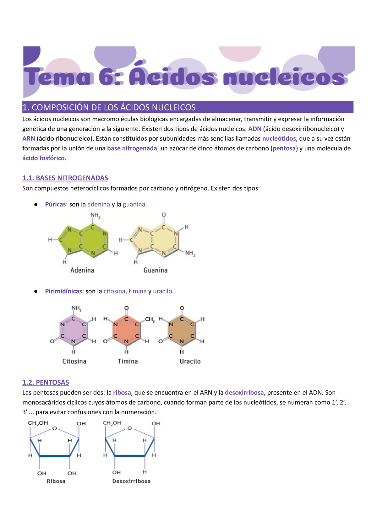 Tema 6 Ácidos Nucleicos 1 ComposiciÓn De Los Ácidos Nucleicos A Los