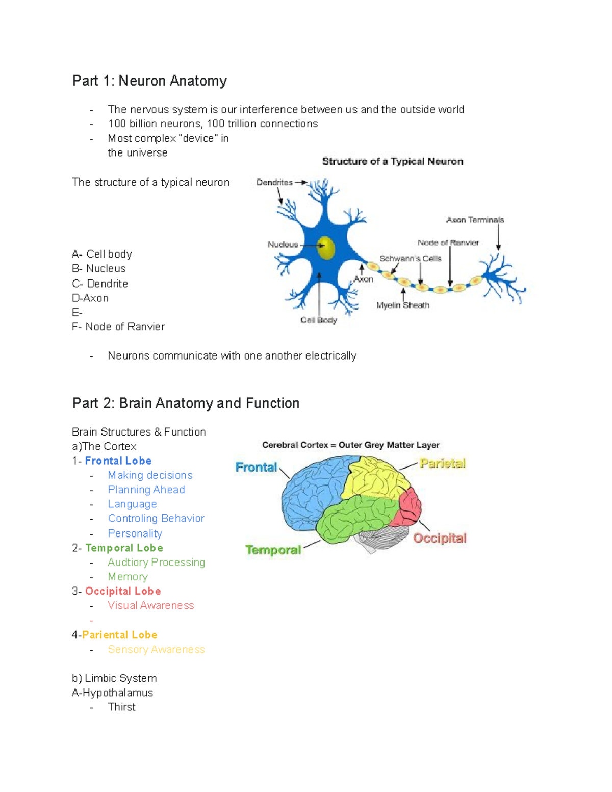 Meeting 2 assignment-Taylor Jacoban - Part 1: Neuron Anatomy The ...