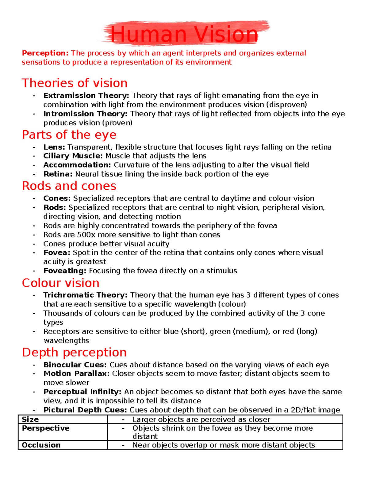 Perception - Notes - Human Vision Perception: The process by which an ...