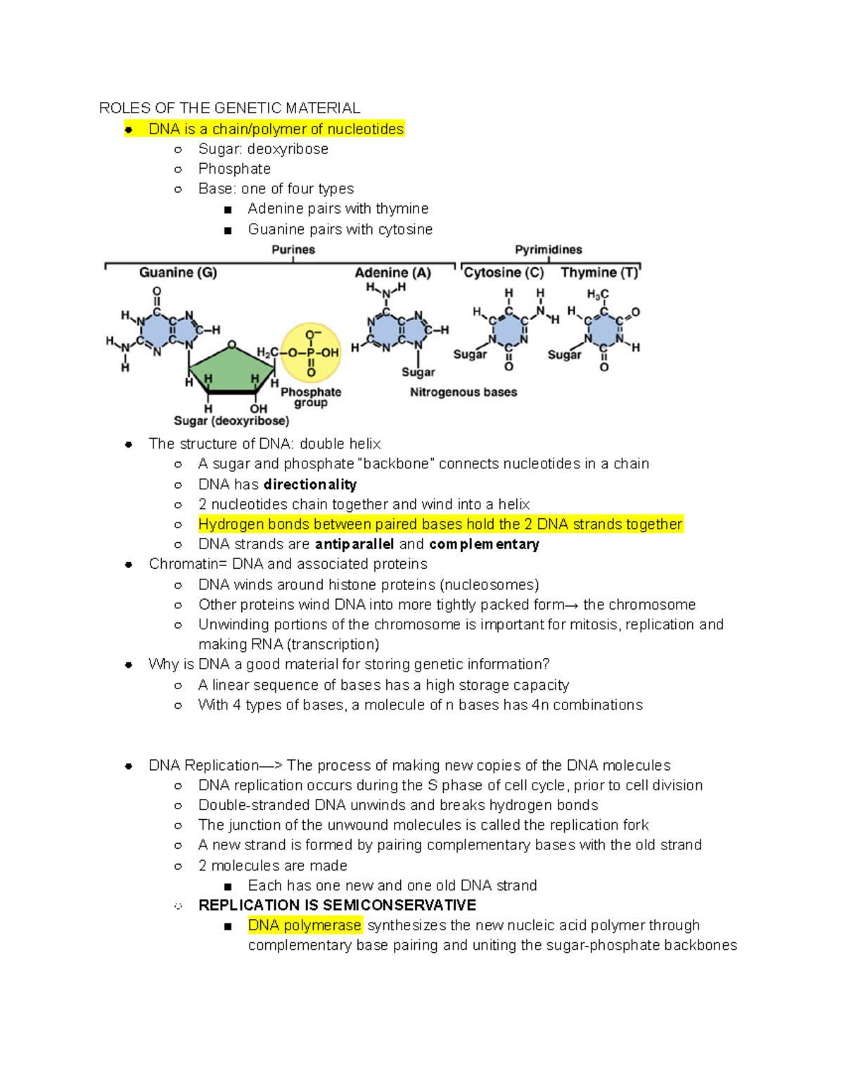 Unlocking Alzheimer'S: The Power Of Genetics - 6sn5a2r