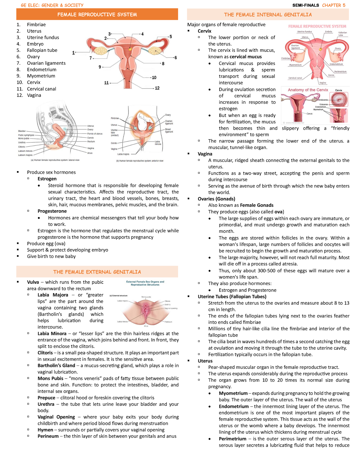 GAS Notes SEMI Finals complete - GE ELEC: GENDER & SOCIETY FEMALE ...