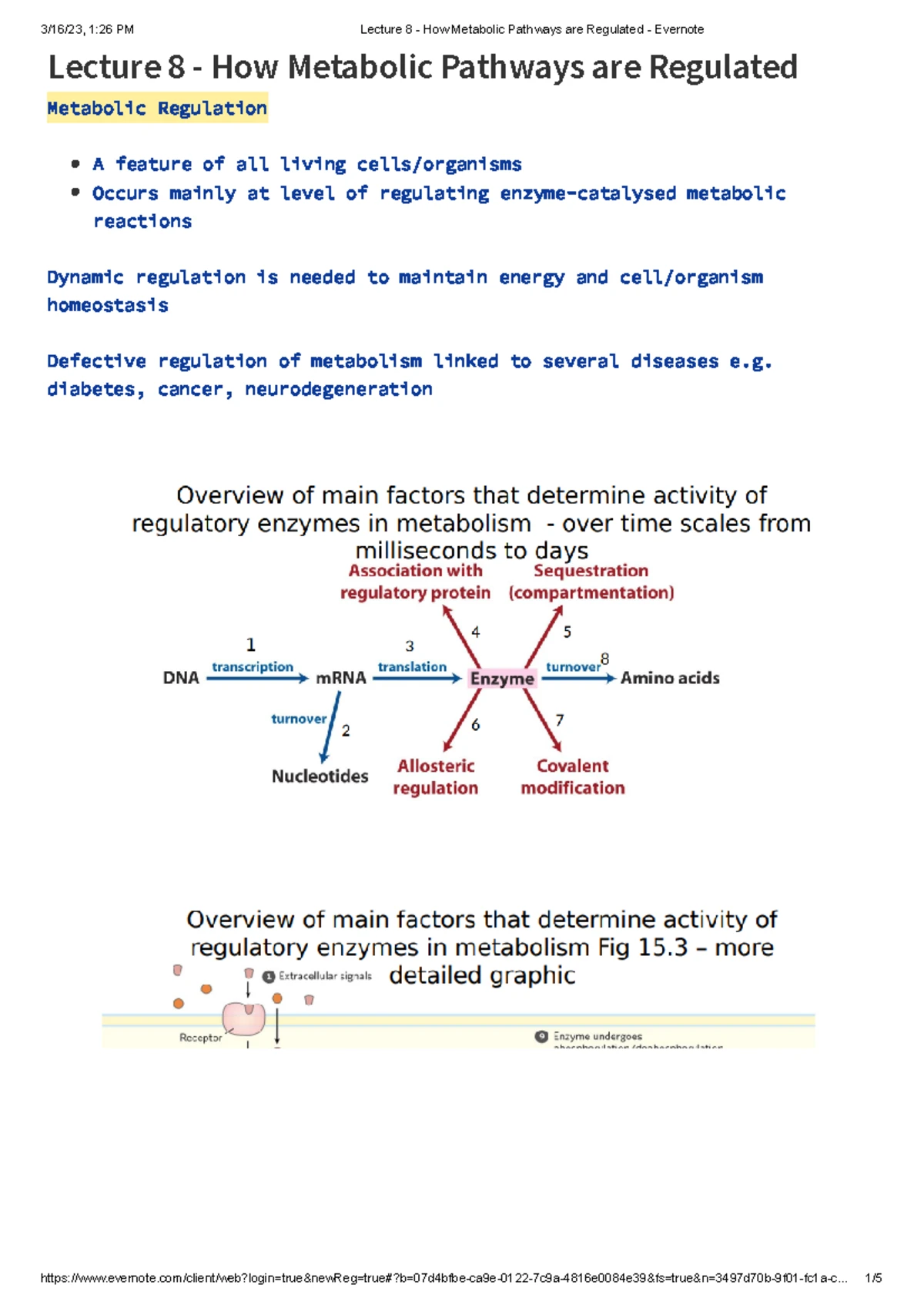 Lecture 9 - Regulation of Metabolic Pathways - Evernote - Lecture 9 ...