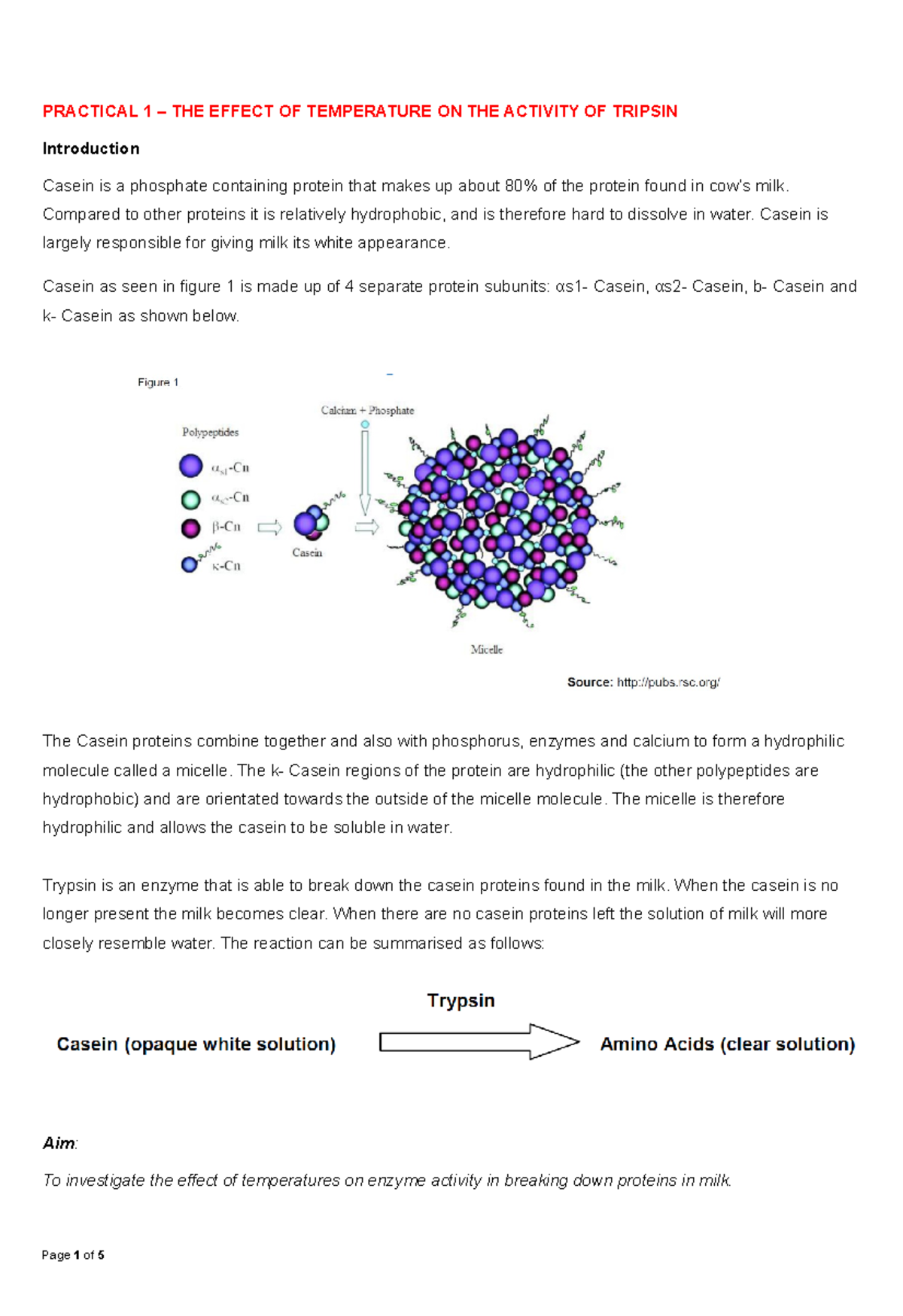 trypsin and casein temperature experiment results