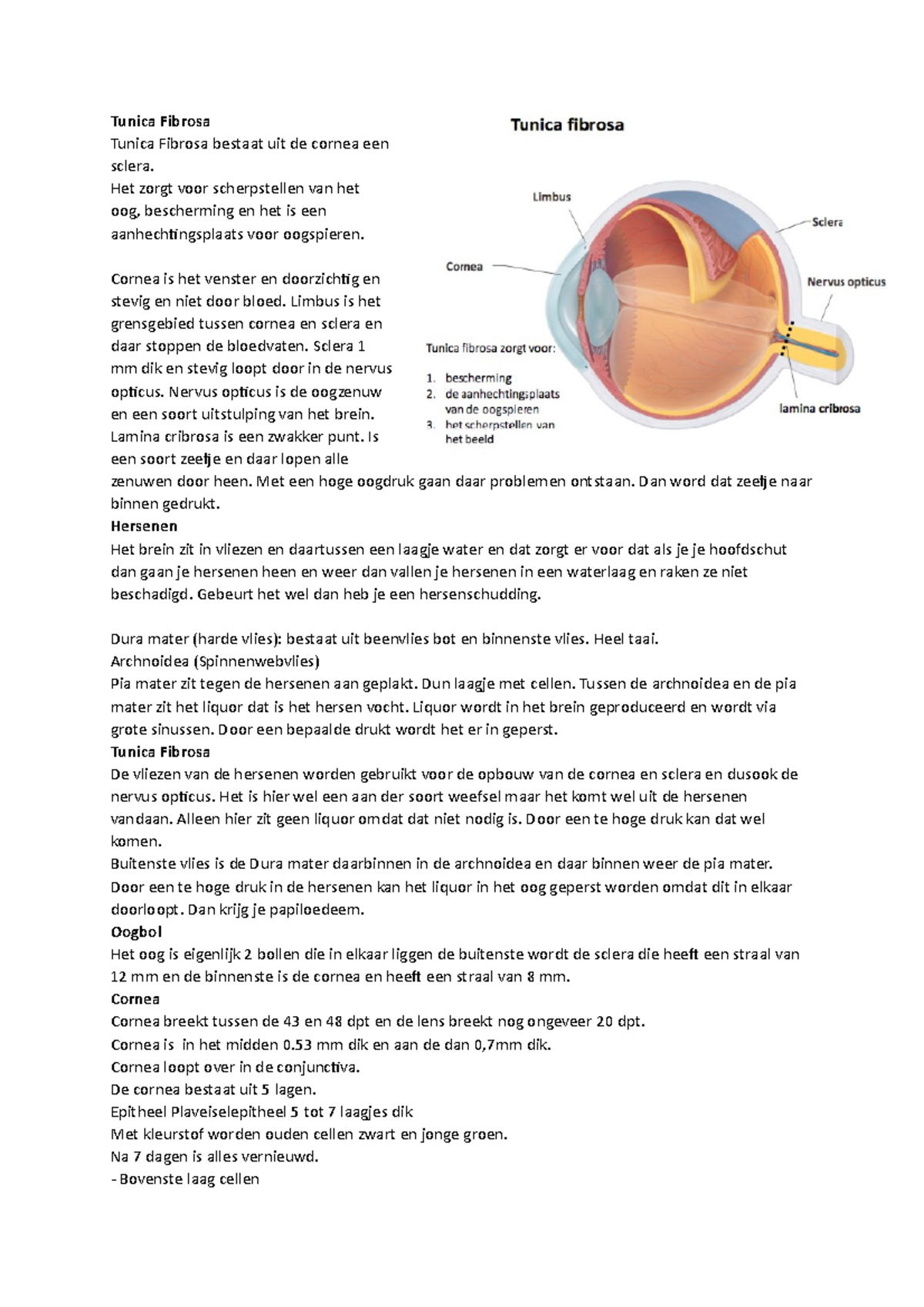 Tunica Fibrosa paar onderwerpen zodat het makkelijk is om een stof te
