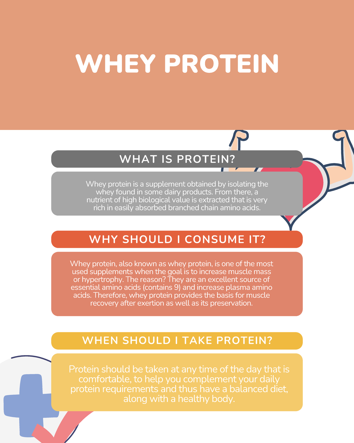 DOSM- Proyecto Ingles 3-DOSM - WHEY PROTEIN WHAT IS PROTEIN? Whey ...