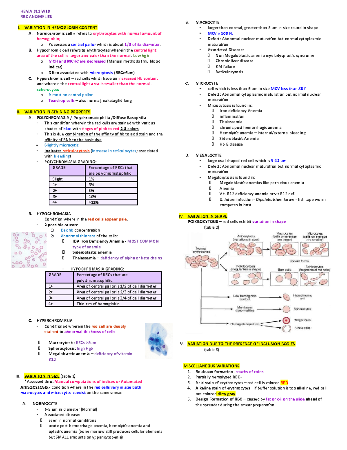 HEMA W10 - RBC Anomalies - HEMA 311 W RBC ANOMALIES I. VARIATION IN ...