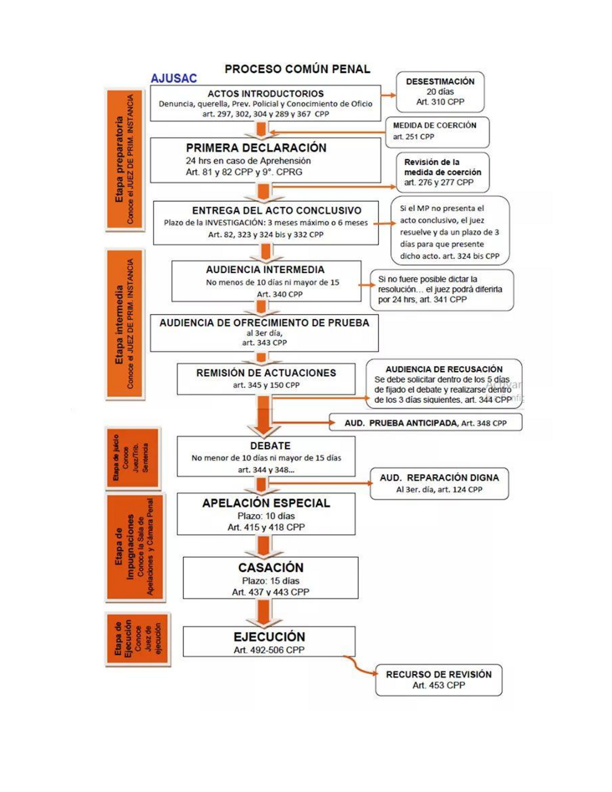 Esquema De Las Etapas Del Proceso Común Penal Plazos Y Sujetos Procesales Derecho Penal I 9828