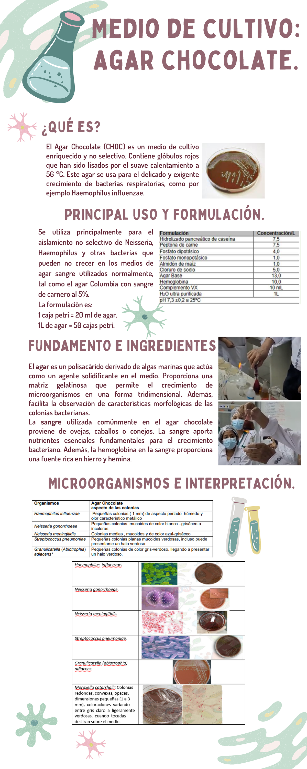 Medio de cultivo agar chocolate E INTERPRETACIÓN
