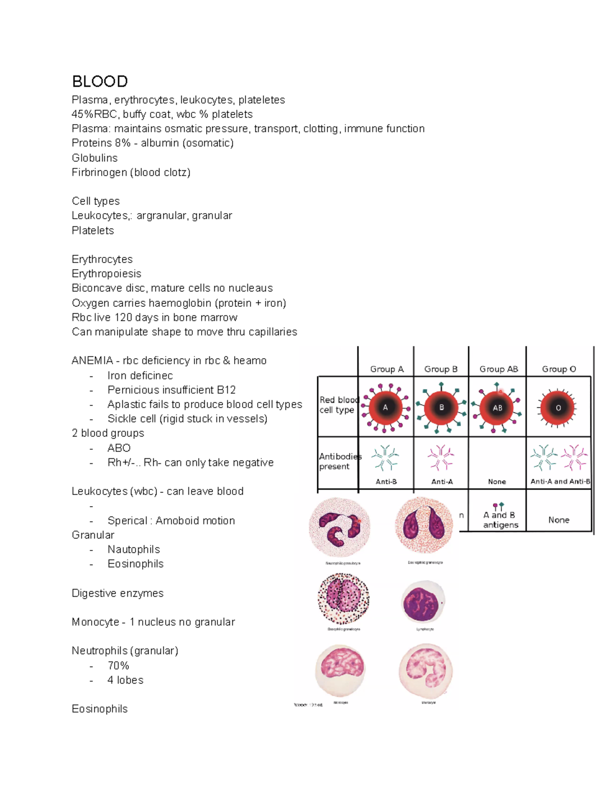 Blood - BLOOD Plasma, erythrocytes, leukocytes, plateletes 45%RBC ...