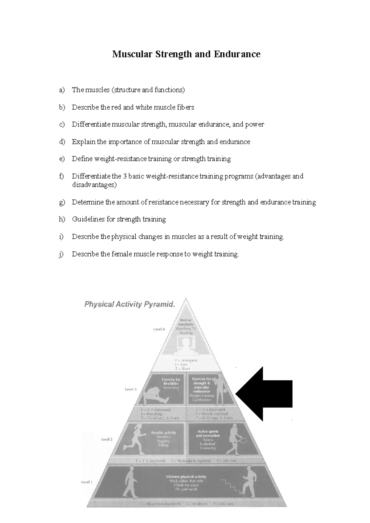 assignment 10 muscular strength and endurance