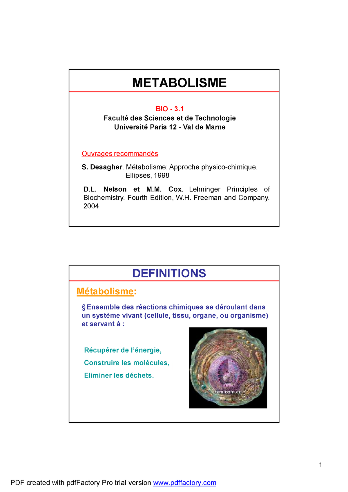 Introduction Metabolisme Energetique Studocu