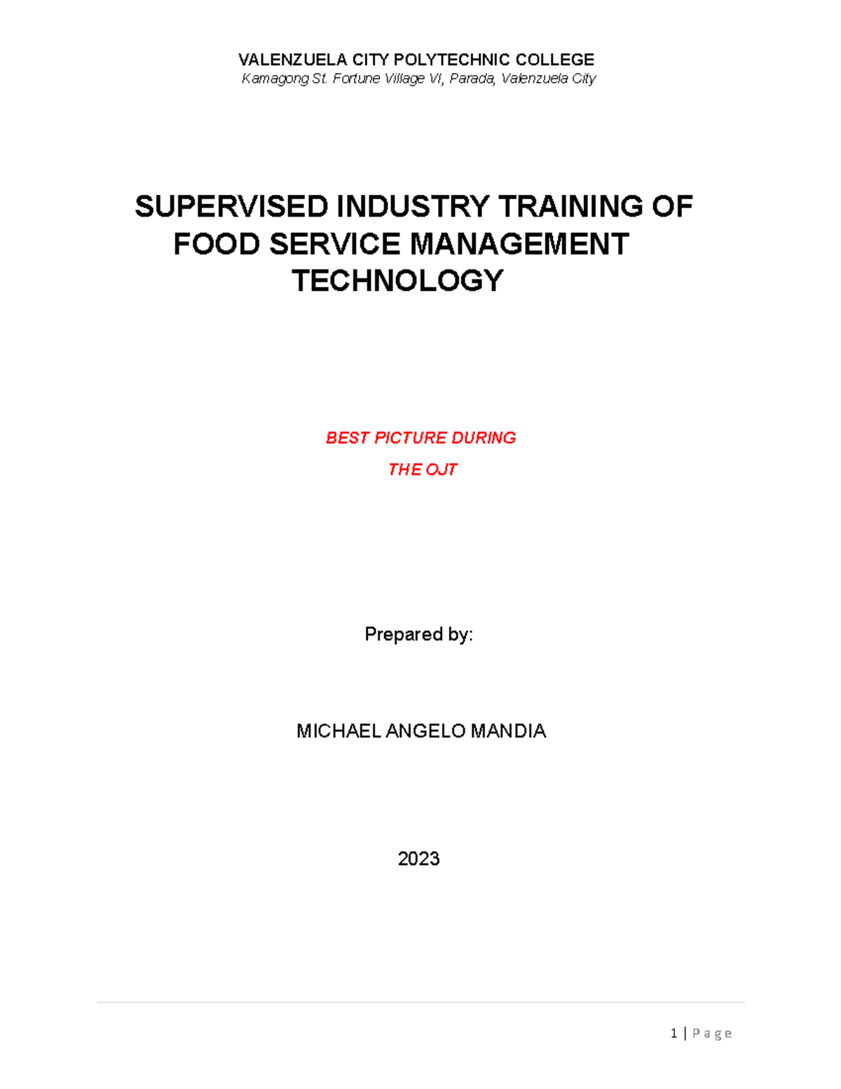 TEMP Narrative Report Kamagong St. Fortune Village VI, Parada