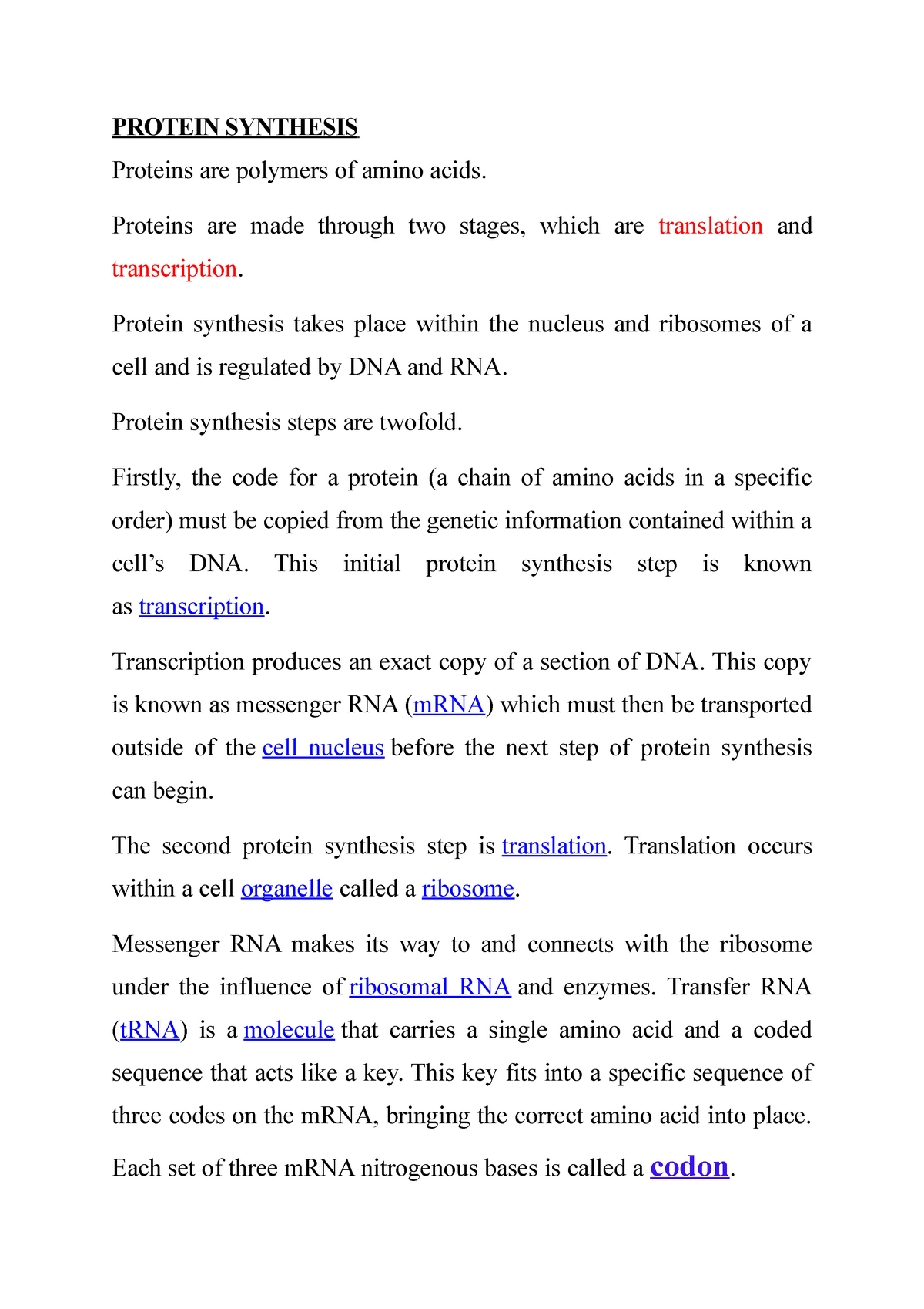 protein synthesis essay questions