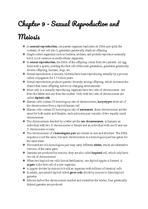 Chapter 8 - DNA Replication, Binary Fission, and Mitosis - Chapte 8 ...
