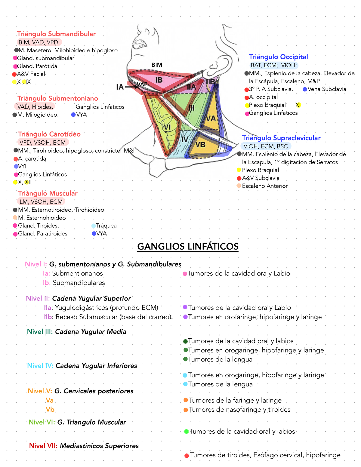 triángulo submandibular