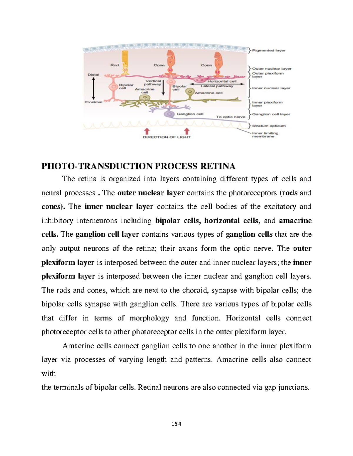NEU physio- Photo- Transduction Process Retina - PHOTO-TRANSDUCTION ...
