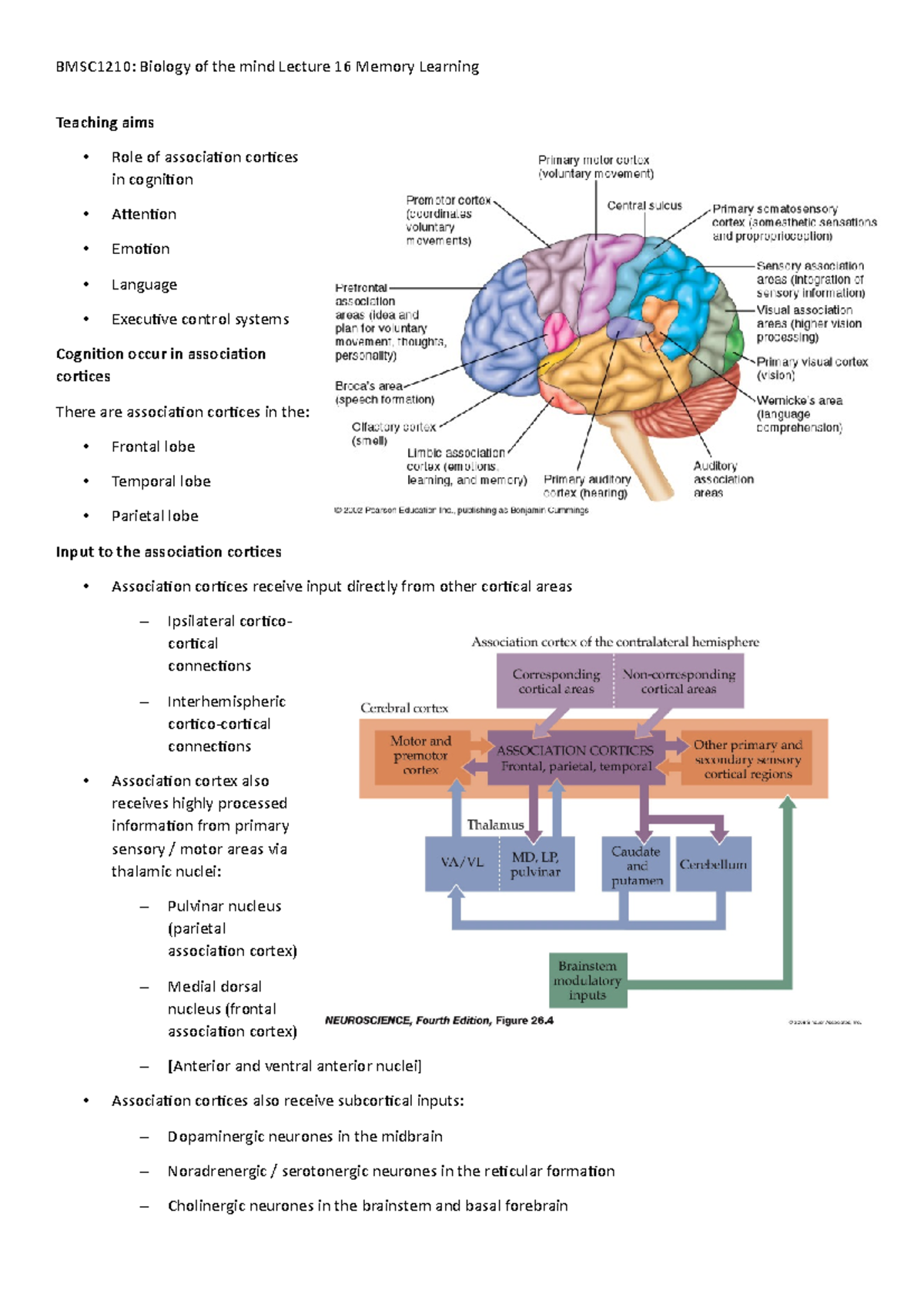 Lecture 15 Cognition - Teaching aims - Role of association cortices in ...