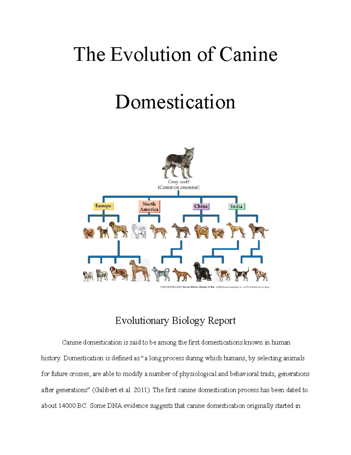 Evolutionary Biology Report - The Evolution Of Canine Domestication ...