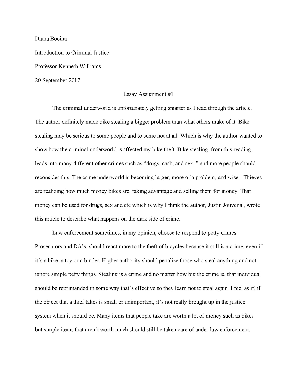 examples of criminal justice essays