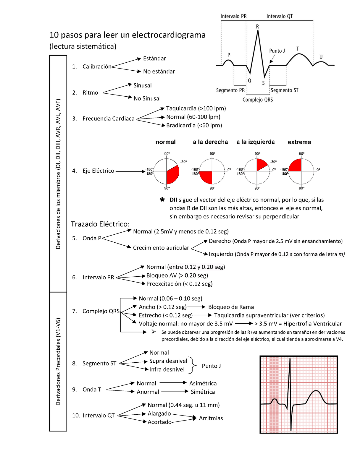 Como Leer Un Electrocardiograma Pasos Para Lectura Sistem Tica Studocu