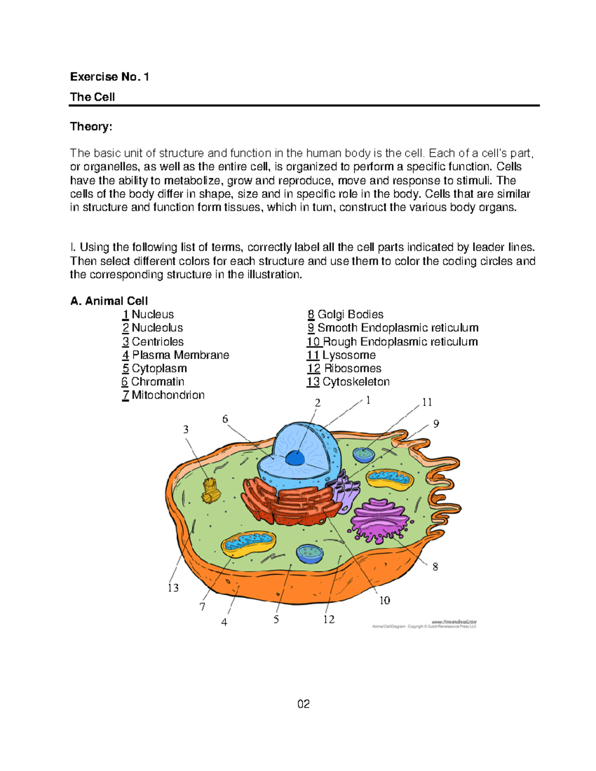 The Cell - Part of the Cell and its Function - Exercise No. 1 The Cell ...
