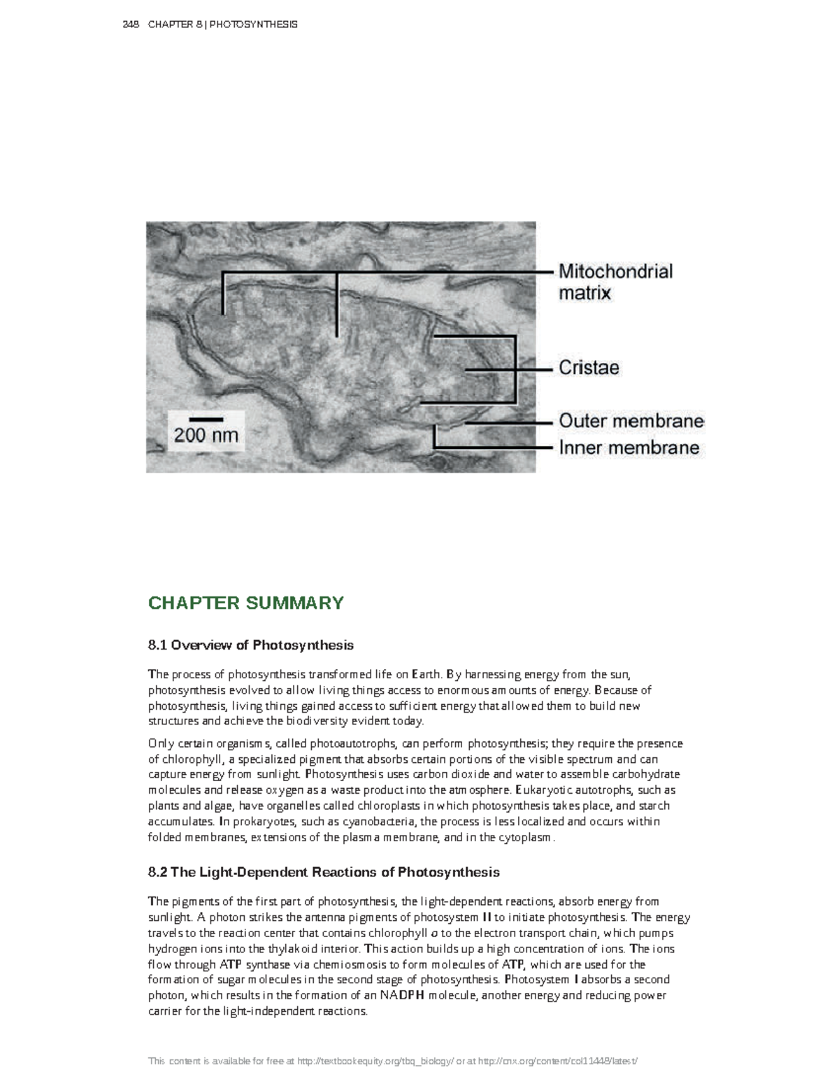 26 - Hello - CHAPTER SUMMARY 8 Overview of Photosynthesis The process ...