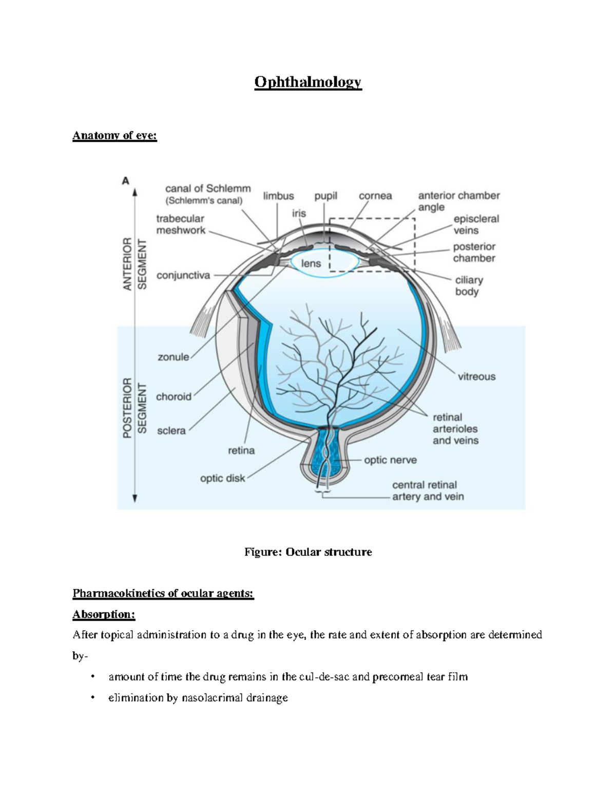 Ophthalmology - B Pharm Notes - Ophthalmology Anatomy Of Eye: Figure ...